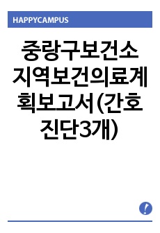 중랑구보건소 지역보건의료계획보고서(간호진단3개)