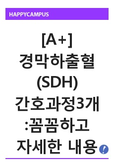 경막하출혈 SDH 간호진단