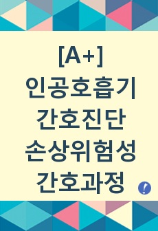 인공호흡기 간호진단 손상위험성 간호과정