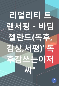 리얼리티 트랜서핑 - 바딤젤란드(독후,감상,서평)"독후감쓰는아저씨"