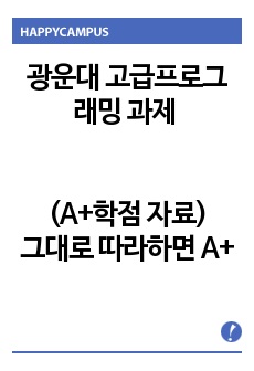 고급프로그래밍 과제1 정리본 (A+학점 자료)