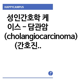 성인간호학 케이스 - 담관암(cholangiocarcinoma) (간호진단3개, 간호과정3개)