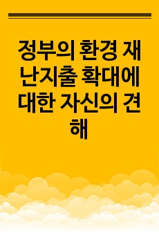 정부의 환경 재난지출 확대에 대한 자신의 견해