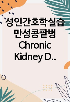 성인간호학실습 만성콩팥병 Chronic Kidney Disease (간호진단5개, 간호과정 3개)