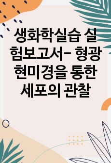 생화학실습 실험보고서- 형광현미경을 통한 세포의 관찰