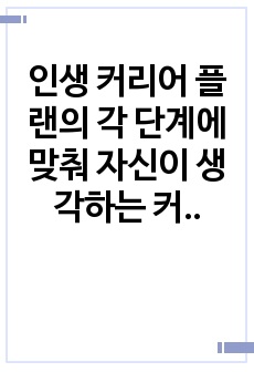 인생 커리어 플랜의 각 단계에 맞춰 자신이 생각하는 커리어 플랜을 만들어보자.