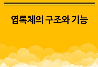 엽록체의 구조와 기능