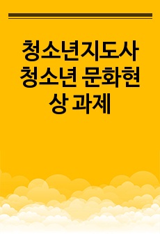 청소년지도사 청소년 문화현상 과제