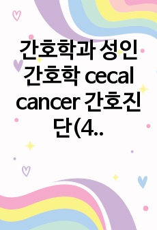 간호학과 성인간호학 cecal cancer 간호진단(4) 간호과정(4)