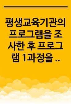 평생교육기관의 프로그램을 조사한 후 프로그램 1과정을 선택하여 개발 과정 및 학습자 관점을 설명하시오.