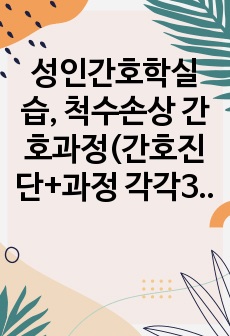 성인간호학실습, 척수손상 간호과정(간호진단+과정 각각3개씩! A+입니다!)+질병기술도 포함!