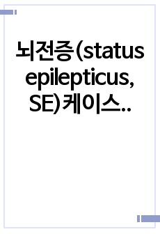 뇌전증(status epilepticus, SE)케이스_사례연구보고서_문헌고찰,간호력,간호사정,진단검사,약물,진단3개,간호과정2개