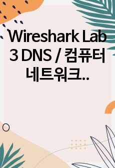 Wireshark Lab 3 DNS / 컴퓨터 네트워크 과제 / Wireshark 패킷 분석