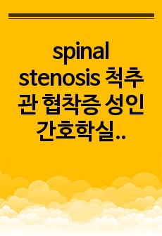 spinal stenosis 척추관 협착증 성인간호학실습 간호과정 레포트