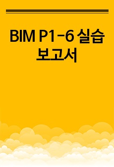 BIM P1-6 실습 보고서