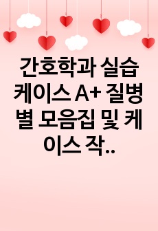 간호학과 실습 케이스 A+ 질병별 모음집 및 케이스 작성 가이드 (간호진단 20개 이상, 간호과정 30개 이상)