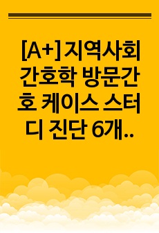 [A+]지역사회간호학 방문간호 케이스 스터디 진단 6개, 과정 1개