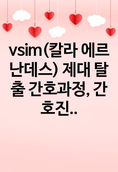 vsim(칼라 에르난데스) 제대 탈출 간호과정, 간호진단