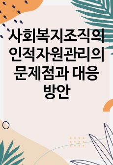 사회복지조직의 인적자원관리의 문제점과 대응방안