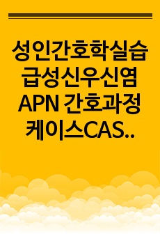 성인간호학실습 급성신우신염 APN 간호과정 케이스CASESTUDY 간호진단5개