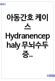 아동간호 케이스 Hydranencephaly 무뇌수두증 간호진단 2개