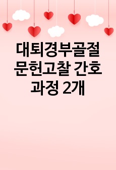 대퇴경부골절 문헌고찰 간호과정 2개