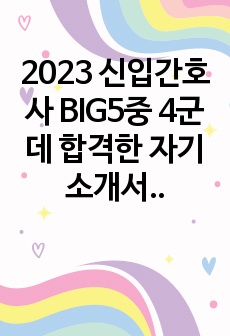 2023 신입간호사 BIG5중 4군데 합격한 자기소개서 모음(간호사 준비과정 포함)