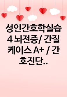 성인간호학실습4 뇌전증/ 간질 케이스 A+ / 간호진단3개/ 간호과정3개 구체적으로 작성함 / 느낀점 포함