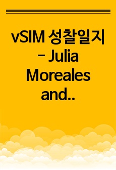 vSIM 성찰일지 - Julia Moreales and Lucy Grey,