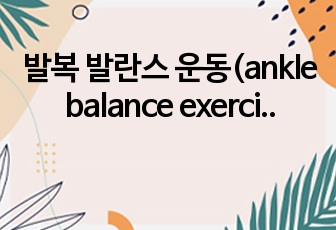 발목 발란스 운동(ankle balance exercise)