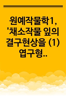 원예작물학1, '채소작물 잎의 결구현상을 (1) 엽구형성과 (2) 인경형성으로 구분하여 설명하고 (3) 엽구의 종류와 품종에 따른 차이와 (4) 엽구형성에 미치는 내적외적 요인을 설명하고 (5) 마늘과 양파..