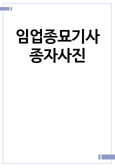 임업종묘기사 종자사진