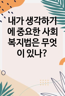 내가 생각하기에 중요한 사회복지법은 무엇이 있나?