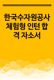 한국수자원공사 체험형 인턴 합격 자소서