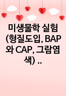 미생물학 실험(형질도입, BAP와 CAP, 그람염색) 레포트