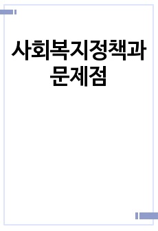 사회복지정책과 문제점