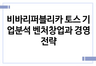 비바리퍼블리카 토스 핀테크.빅데이타. 기업분석 벤처창업과 경영전략