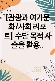 [관광과 여가문화/사회 리포트] 수단 목적 사슬을 활용한 여가로써 음악활동