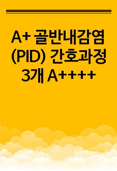 A+ 골반내감염(PID) 간호과정 3개 A++++