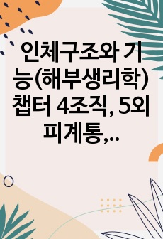 인체구조와 기능(해부생리학) 챕터 4조직, 5외피계통, 10내분비계통, 11혈액, 12심장, 13혈관 요약정리