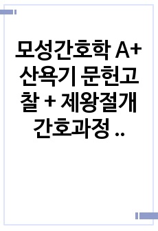모성간호학 A+ 산욕기 문헌고찰 + 제왕절개 간호과정 안위손상, 오심