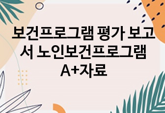 보건프로그램 평가 보고서 노인보건프로그램 A+자료