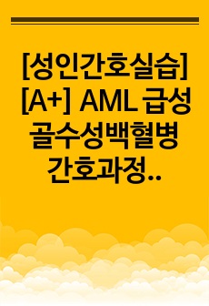 [성인간호실습][A+] AML 급성골수성백혈병 간호과정5개 케이스스터디 (문헌고찰 + 매우자세함)