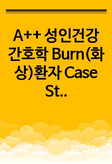 A++ 성인건강간호학 Burn(화상)환자 Case Study(간호진단6개 간호과정6개) 우선순위, 수행/평가까지 포함