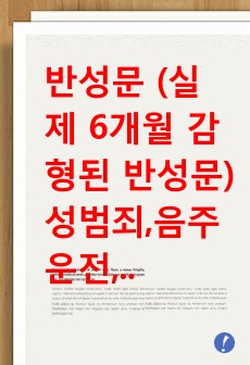 반성문 (실제 6개월 감형된 반성문) 성범죄,음주운전,폭행 [양형자료]