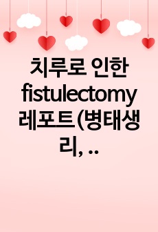 치루로 인한 fistulectomy 레포트(병태생리, 질환, 치료, 수술준비물, 수술 procedure)