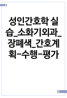 성인간호학 실습_소화기외과_장폐색_간호계획-수행-평가