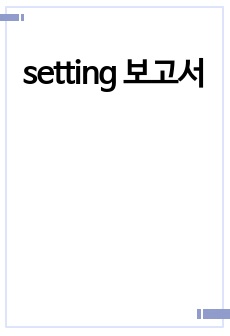 setting 보고서