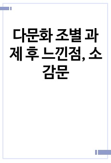 다문화 조별 과제 후 느낀점, 소감문