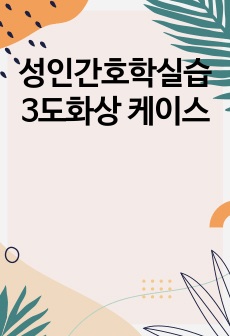 성인간호학실습 3도화상 케이스